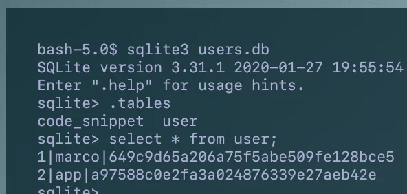 Result of the query to the Users table