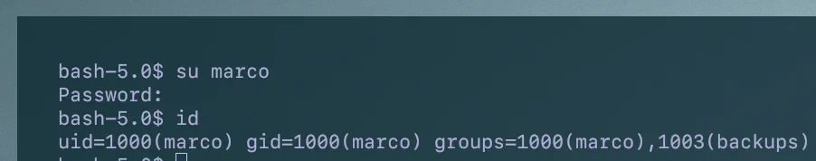 Bash image with the Marco user