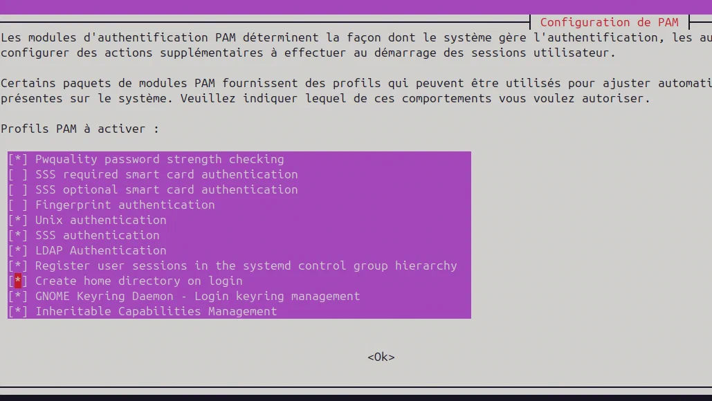 Conf de pam-auth-update